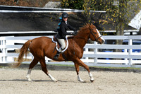 HSM_2260