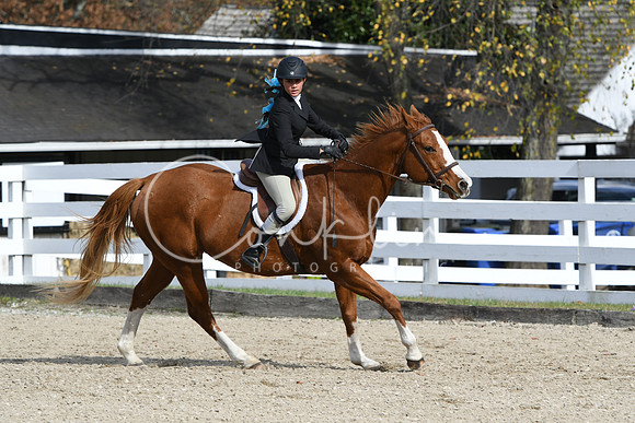 HSM_2260