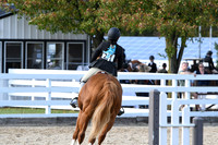 HSM_2644
