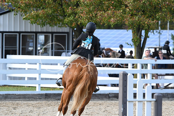 HSM_2644