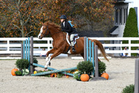 HSM_2643