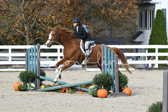 HSM_2643