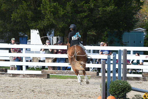 HSM_2645