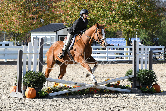 HSM_2749