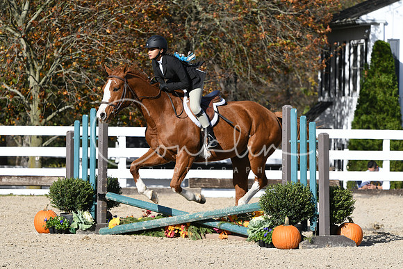HSM_2751