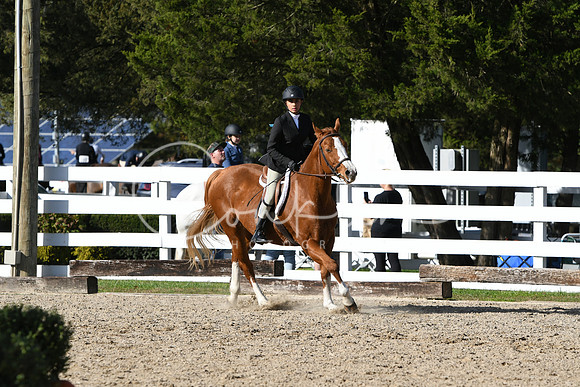 HSM_2753