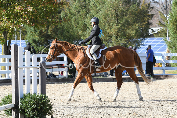 HSM_2754