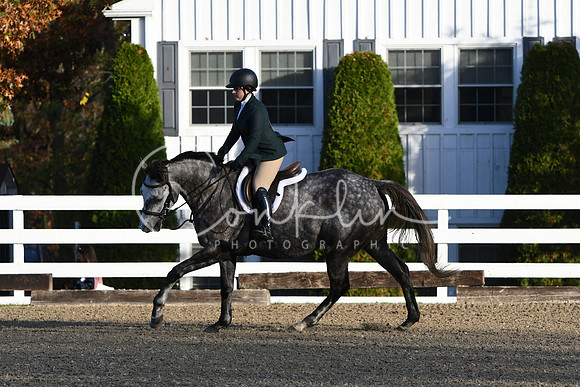 HSM_1158
