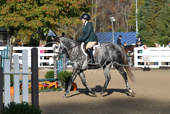 HSM_1203