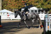 HSM_1204
