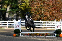 HSM_1205