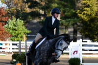HSM_1206