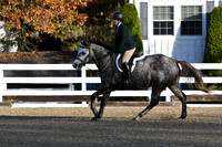 HSM_1208