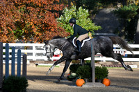HSM_1209