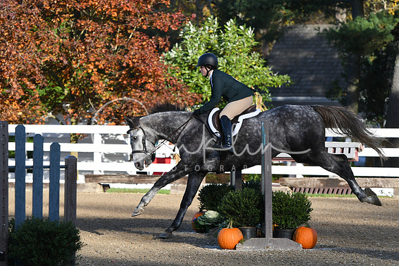 HSM_1209