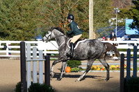 HSM_1210