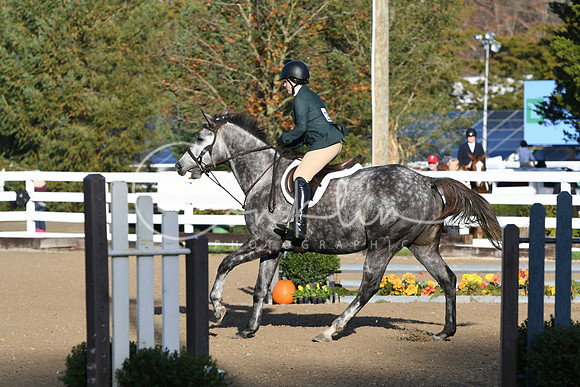 HSM_1210