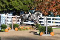 HSM_1211
