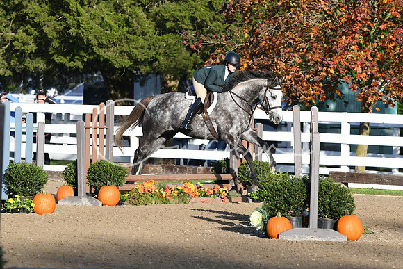 HSM_1211