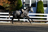HSM_1212
