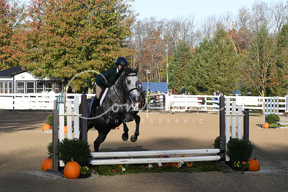 HSM_1214