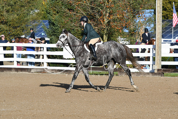 HSM_1253