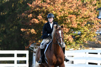 HSM_1129