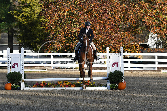 HSM_1175