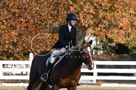 HSM_1176