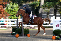 HSM_1179