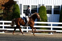 HSM_1182