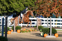 HSM_1181
