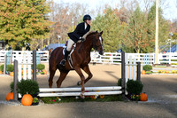 HSM_1184