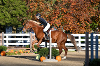 HSM_1185