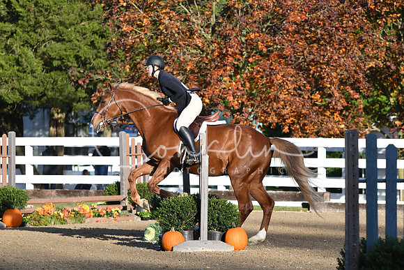 HSM_1185