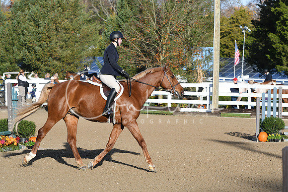 HSM_1228