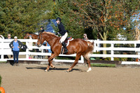 HSM_1230