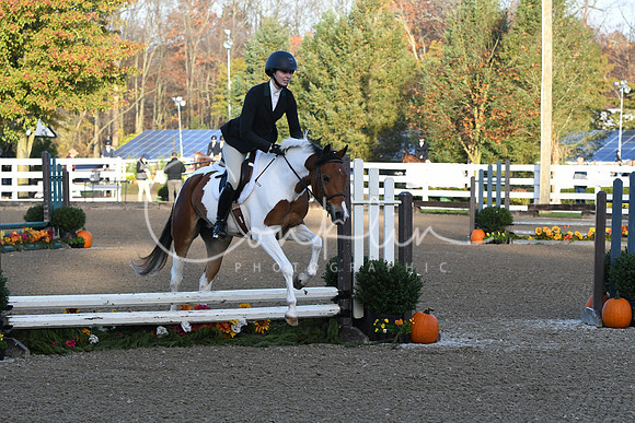 HSM_1049