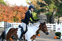 HSM_1050