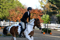 HSM_1096