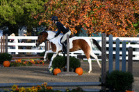 HSM_1098