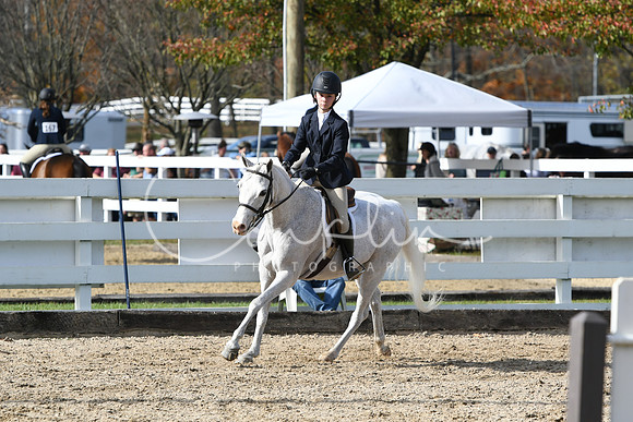 HSM_2278