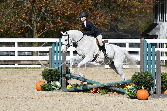 HSM_2280