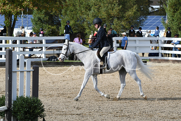 HSM_2283