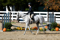 HSM_2320