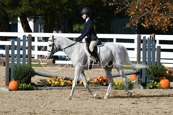 HSM_2320