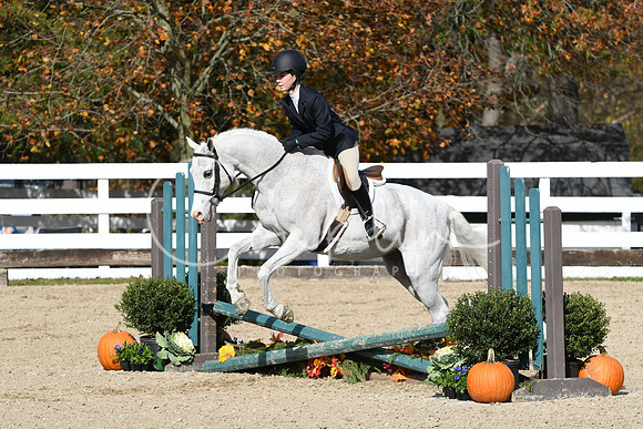 HSM_2325