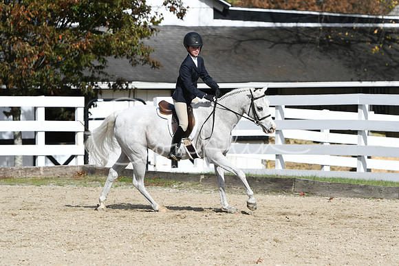 HSM_2328