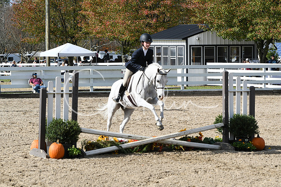 HSM_2331