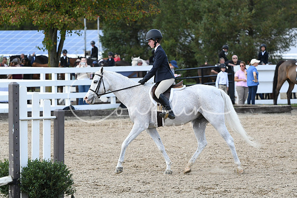 HSM_2376